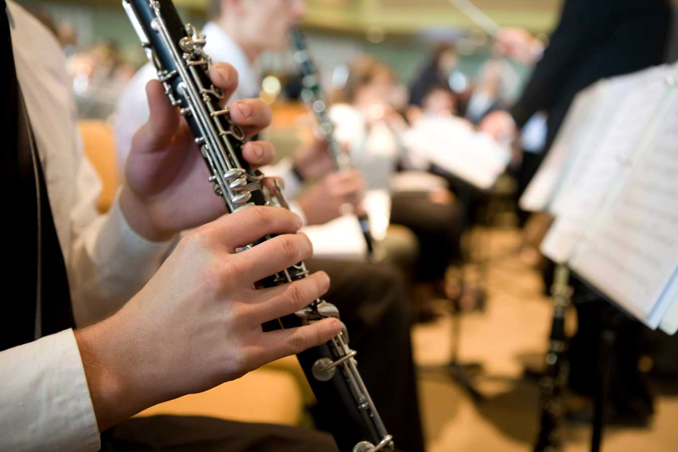Are Loud? Understanding the Volume of the Popular Woodwind Instrument