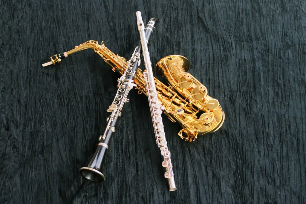 Can A Clarinet Player Play Saxaphone