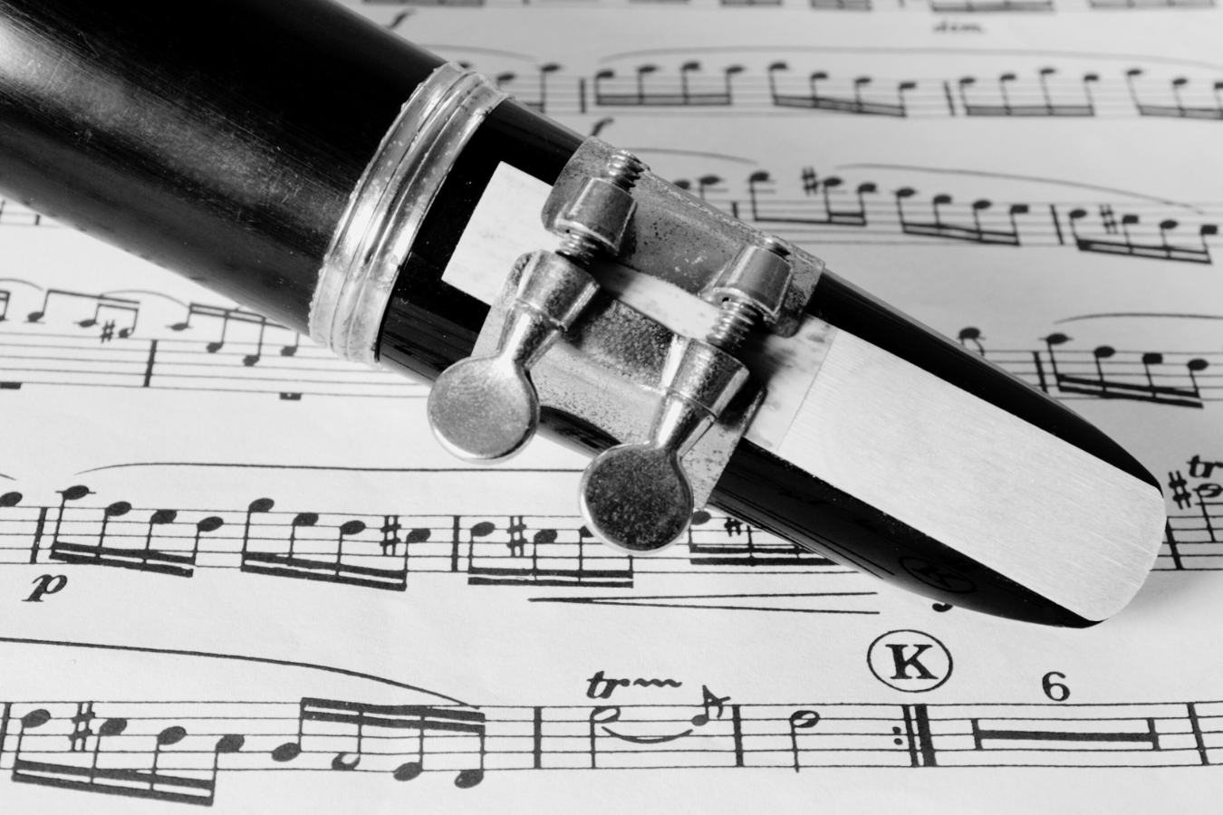 Do Reeds Expire? A Comprehensive Guide