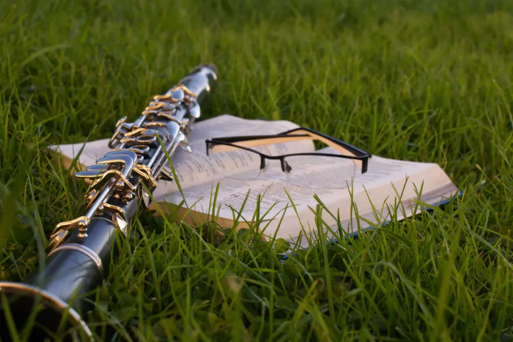Does The Clarinet Play The Melody Or Harmony