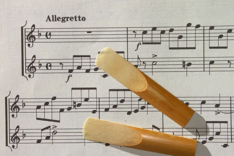 How Long Do Reeds Last? A Comprehensive Guide