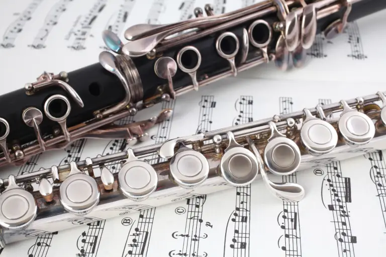 vs Flute Which Instrument is More Challenging to Learn?
