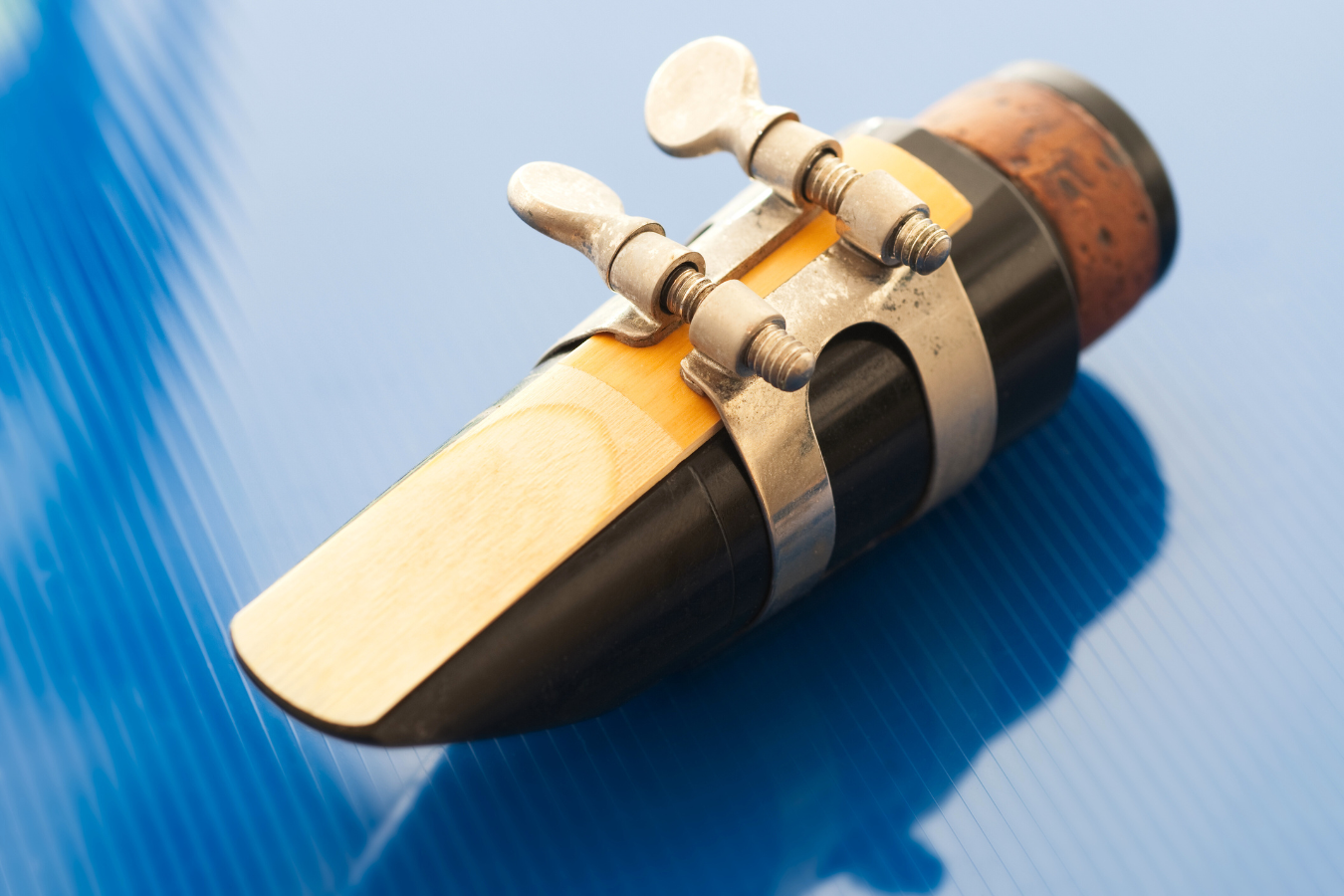 Best Reed for High Notes Top Picks and Tips