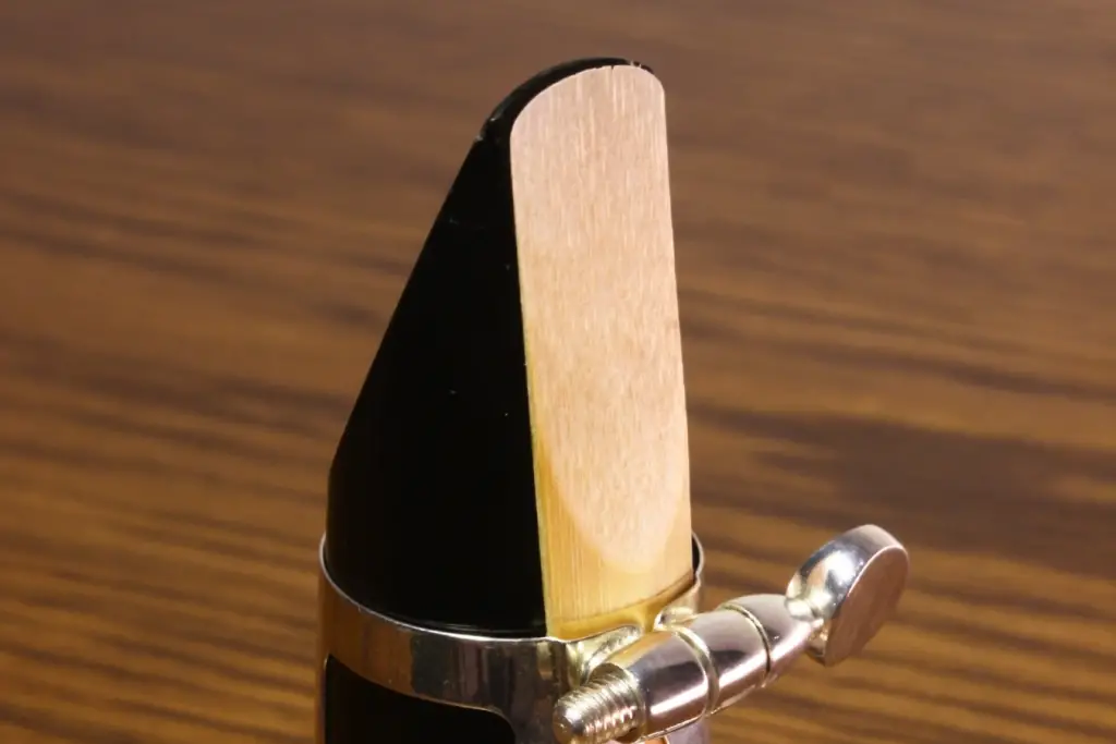 Clarinet Reeds Filled Vs. Unfilled