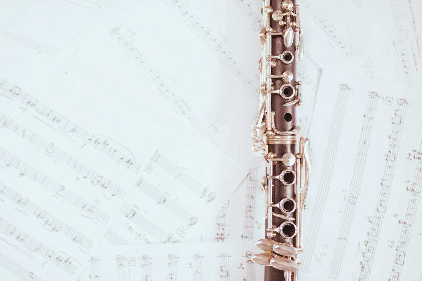 Do Hurt Dogs’ Ears? Here’s What You Need to Know