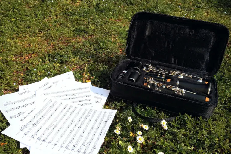 What Is A Boehm A Comprehensive Overview