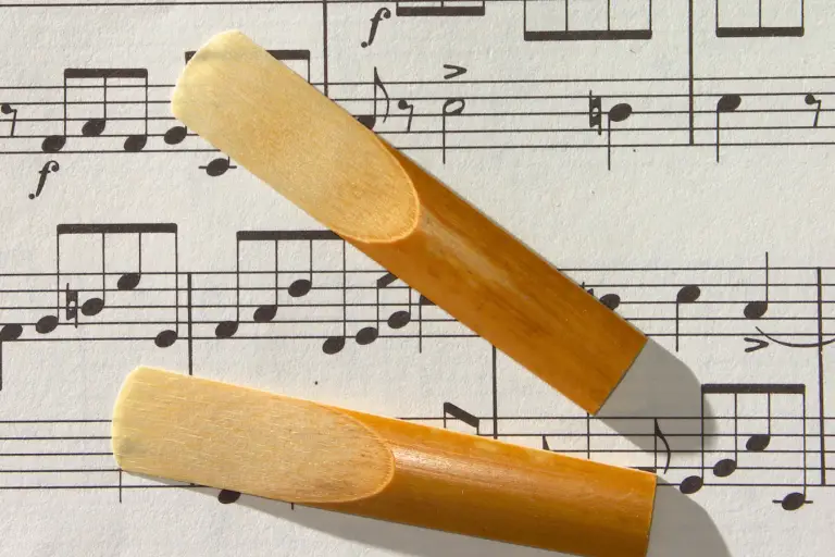 What Strength Reed Should A Beginner Player Use?