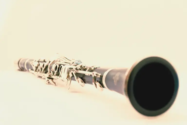 Why Does My Squeak Common Causes and Solutions